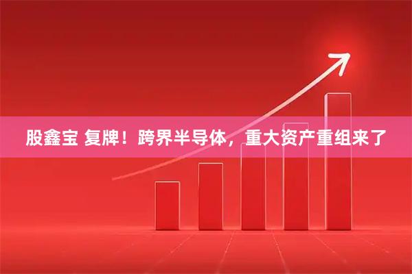 股鑫宝 复牌！跨界半导体，重大资产重组来了
