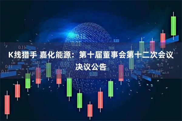 K线猎手 嘉化能源：第十届董事会第十二次会议决议公告