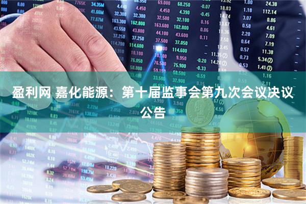 盈利网 嘉化能源：第十届监事会第九次会议决议公告