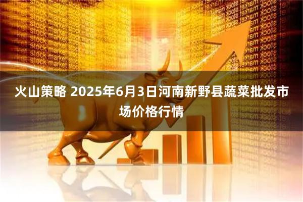 火山策略 2025年6月3日河南新野县蔬菜批发市场价格行情