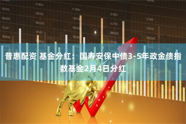 普惠配资 基金分红:国寿安保中债3-5年政金债指数基金2月4日分红